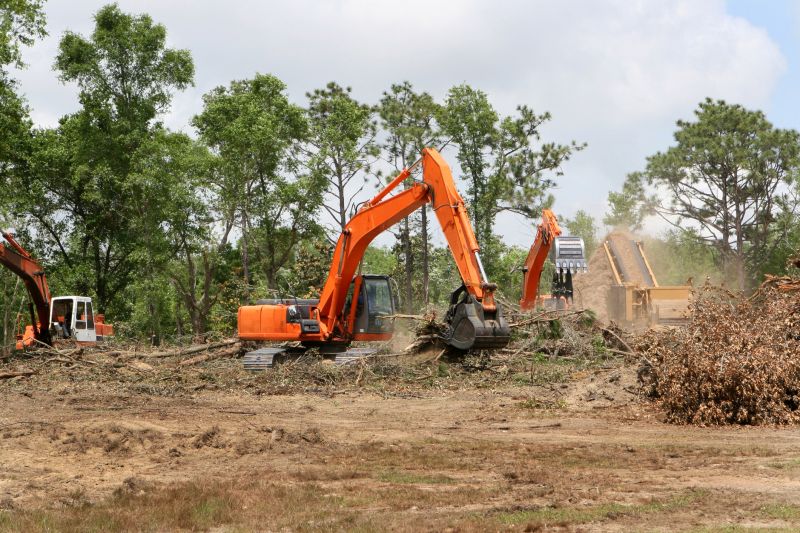 Prevents safety hazards like fallen trees and debris